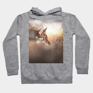 Big Bad Wolf Hoodie